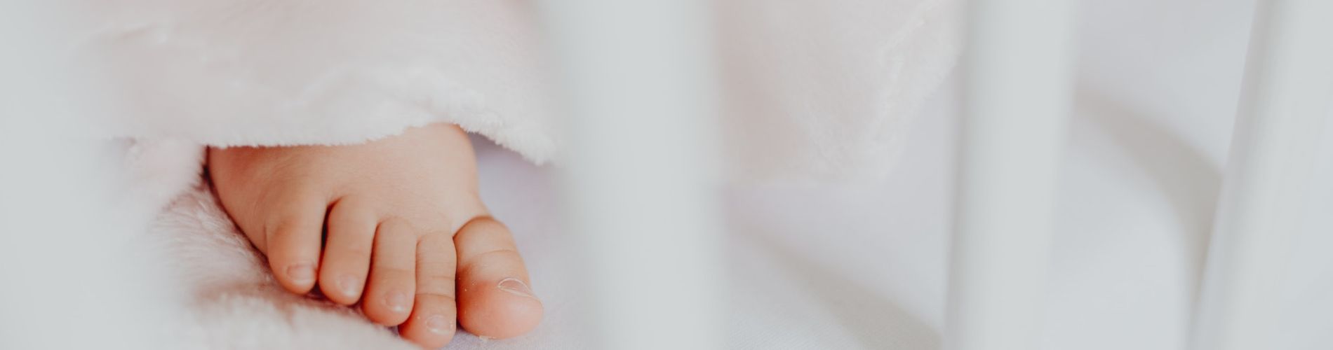 Anagrafe - Stato Civile - Leva - Elettorale - Servizi Cimiteriali